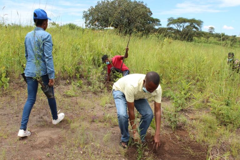 Lire la suite à propos de l’article L’Observatoire Congolais de l’Environnement-OCE* en partenariat avec *Women Environmental protection initiative en sigle WEPI asbl