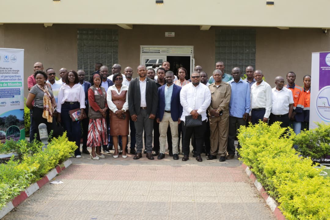You are currently viewing Lubumbashi : les acteurs du Grand Katanga réfléchissent à l’avenir des forêts de Miombo face à la transition énergétique